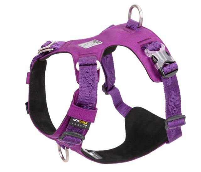 Buy Adjustable Dog Harness Light Weight Various Sizes Online Australia at BargainTown