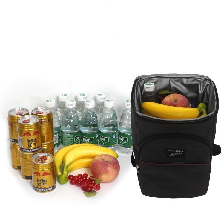Buy 20L Waterproof Thermal Cooler Backpack Online Australia at BargainTown