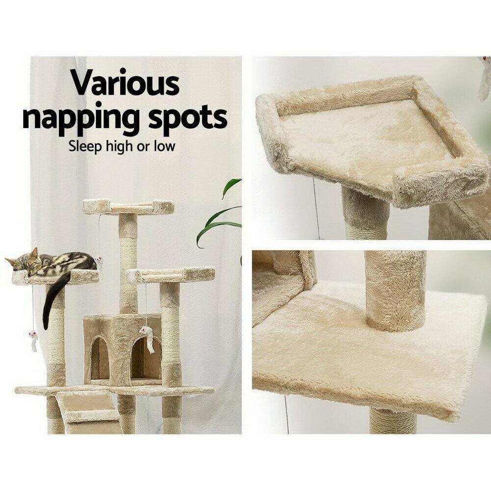 Buy My Territory 180cm Multi-Level Cat Tower & Scratching Post - Beige Online Australia at BargainTown